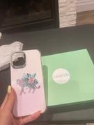 Caseco  Review